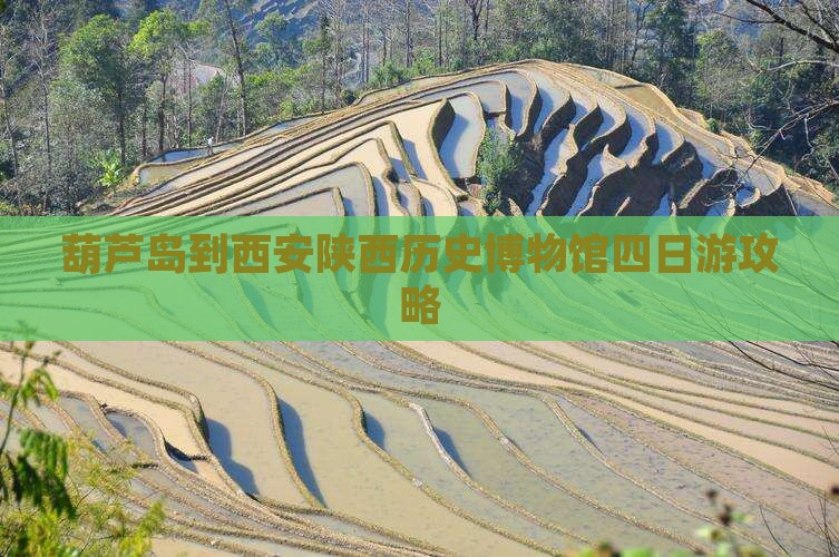 葫芦岛到西安陕西历史博物馆四日游攻略