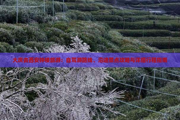 大庆去西安钟楼旅游：自驾游路线、沿途景点攻略与详细行程指南