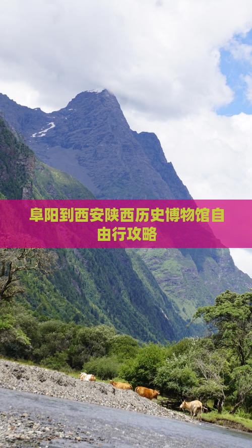 阜阳到西安陕西历史博物馆自由行攻略