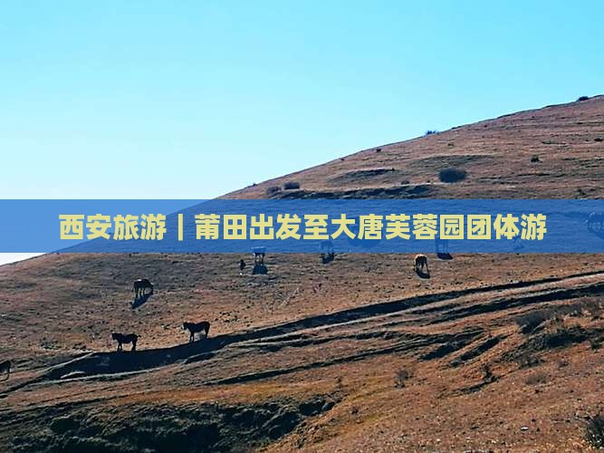 西安旅游｜莆田出发至大唐芙蓉园团体游