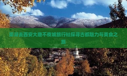 巢湖去西安大唐不夜城旅行社探寻古都魅力与美食之旅