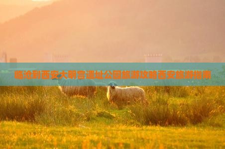 临沧到西安大明宫遗址公园旅游攻略西安旅游指南