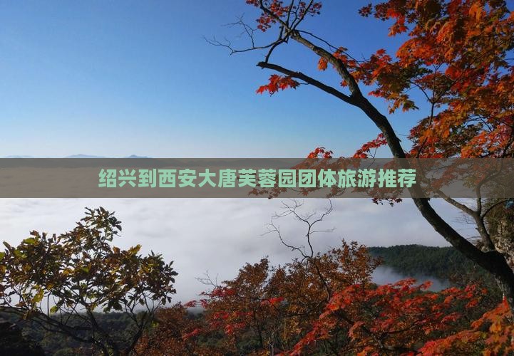 绍兴到西安大唐芙蓉园团体旅游推荐
