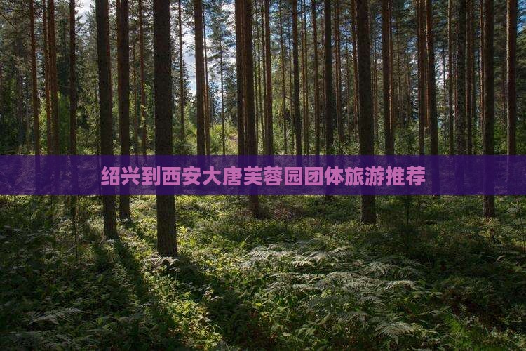 绍兴到西安大唐芙蓉园团体旅游推荐