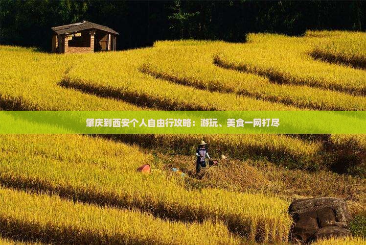 肇庆到西安个人自由行攻略：游玩、美食一网打尽