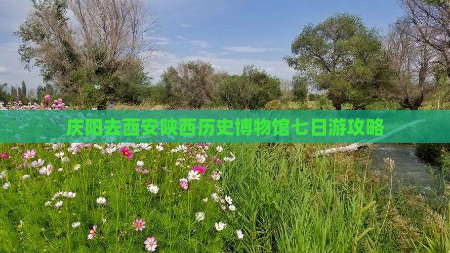 庆阳去西安陕西历史博物馆七日游攻略