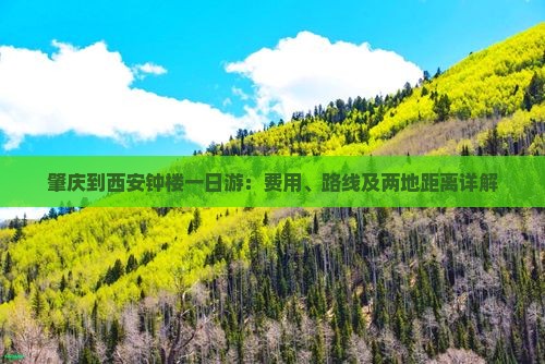 肇庆到西安钟楼一日游：费用、路线及两地距离详解