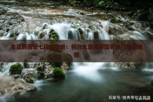 金昌到西安七日游攻略：包含大唐芙蓉园等热门景点推荐