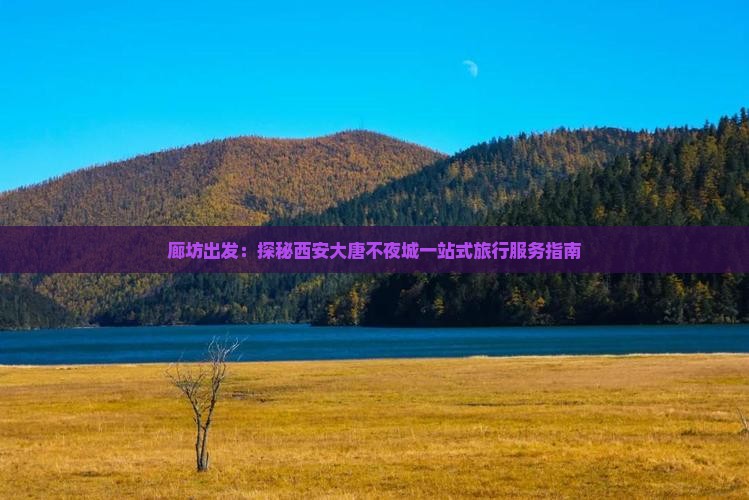 廊坊出发：探秘西安大唐不夜城一站式旅行服务指南