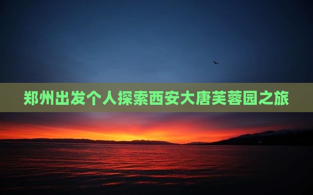 郑州出发个人探索西安大唐芙蓉园之旅