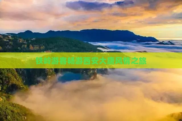 铁岭游客畅游西安大唐风情之旅