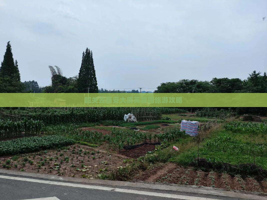 韶关去西安大唐芙蓉园旅游攻略
