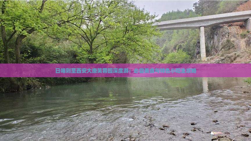 日喀则至西安大唐芙蓉园深度游：必尝美食与特色小吃全攻略