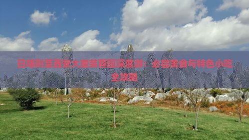 日喀则至西安大唐芙蓉园深度游：必尝美食与特色小吃全攻略
