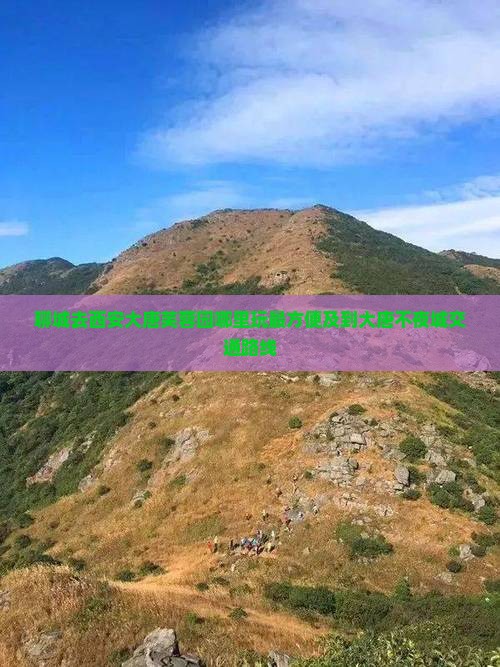 聊城去西安大唐芙蓉园哪里玩最方便及到大唐不夜城交通路线