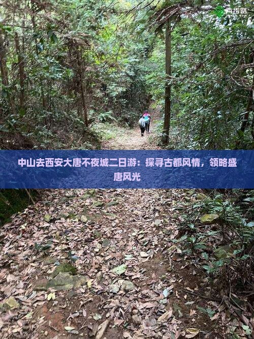 中山去西安大唐不夜城二日游：探寻古都风情，领略盛唐风光