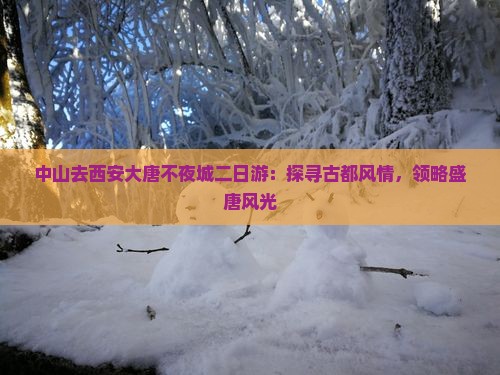 中山去西安大唐不夜城二日游：探寻古都风情，领略盛唐风光