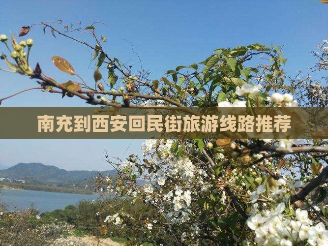 南充到西安回民街旅游线路推荐