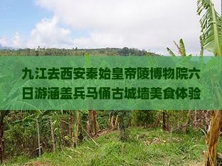 九江去西安秦始皇帝陵博物院六日游涵盖兵马俑古城墙美食体验