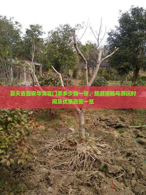 夏天去西安华清宫门票多少钱一张，旅游攻略与游玩时间及优惠政策一览