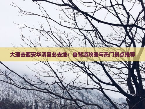 大理去西安华清宫必去地：自驾游攻略与热门景点推荐