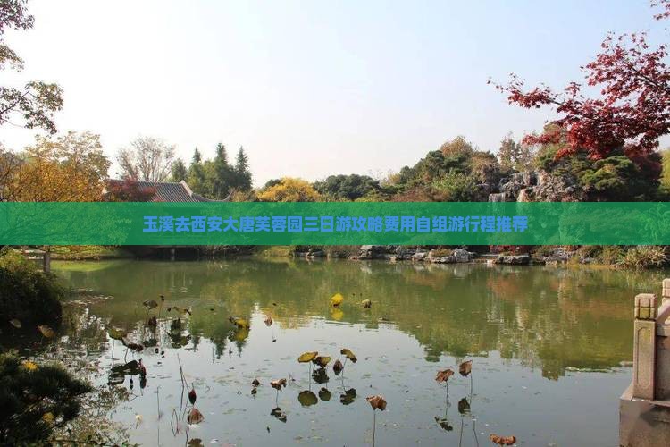 玉溪去西安大唐芙蓉园三日游攻略费用自组游行程推荐