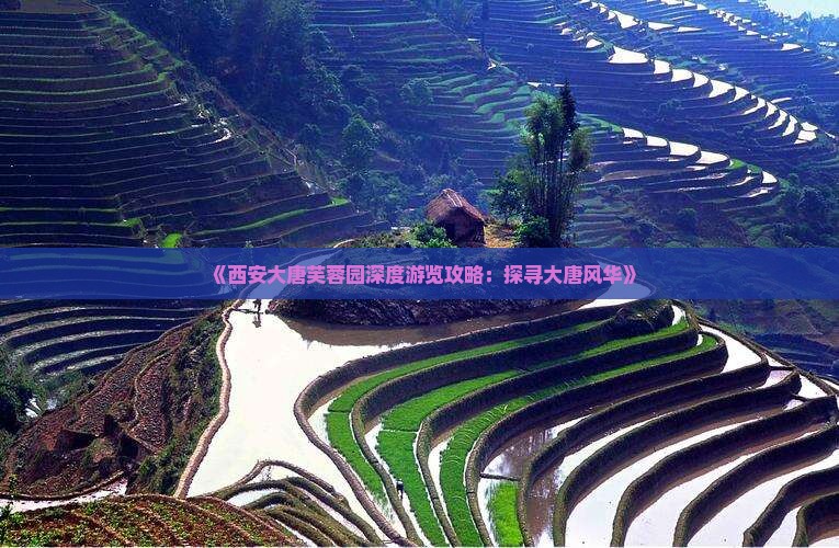 《西安大唐芙蓉园深度游览攻略：探寻大唐风华》