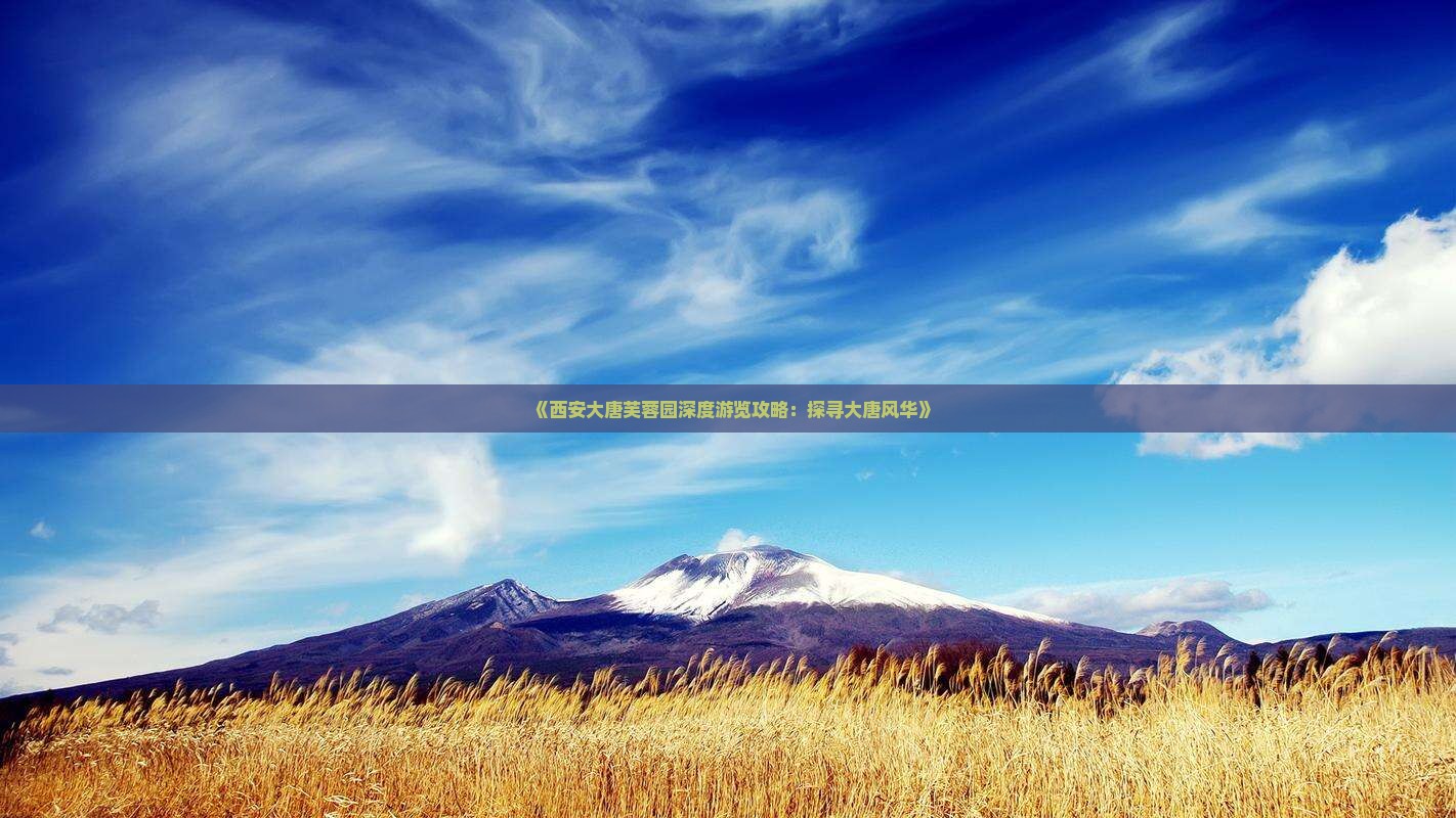 《西安大唐芙蓉园深度游览攻略：探寻大唐风华》