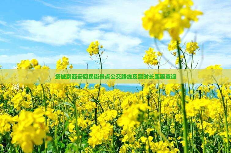 塔城到西安回民街景点公交路线及票时长距离查询