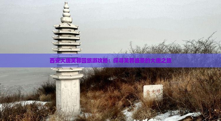 西安大唐芙蓉园旅游攻略：探寻芙蓉盛景的大唐之旅