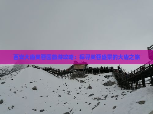 西安大唐芙蓉园旅游攻略：探寻芙蓉盛景的大唐之旅