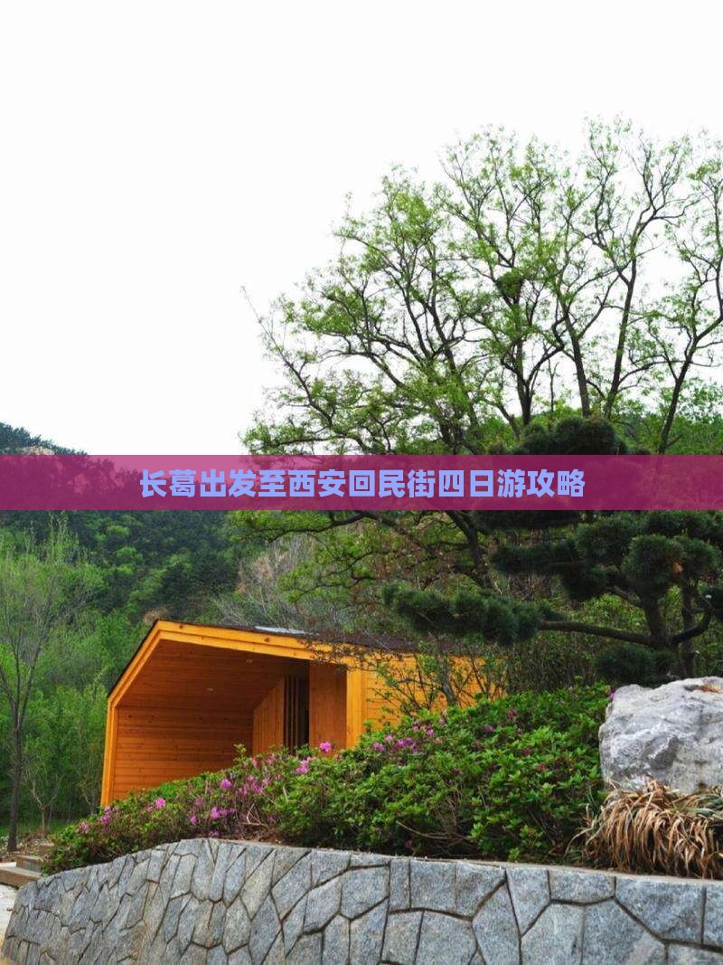长葛出发至西安回民街四日游攻略