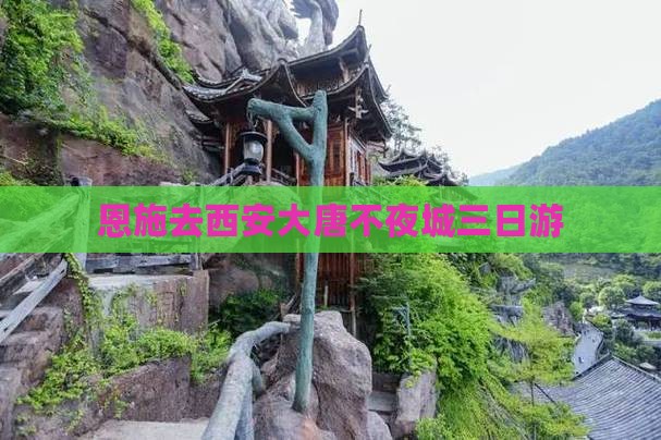 恩施去西安大唐不夜城三日游