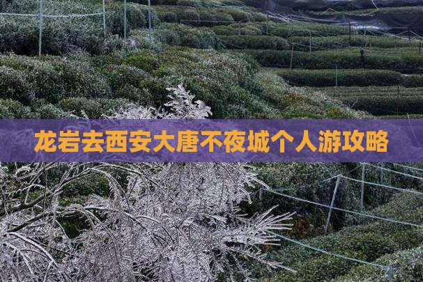 龙岩去西安大唐不夜城个人游攻略