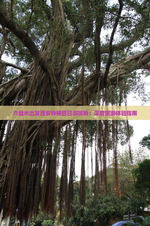 六盘水出发西安钟楼四日游攻略：深度旅游体验指南
