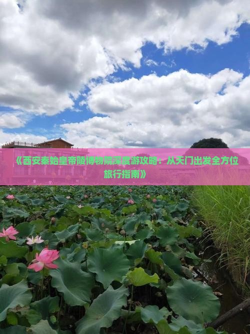 《西安秦始皇帝陵博物院深度游攻略：从天门出发全方位旅行指南》