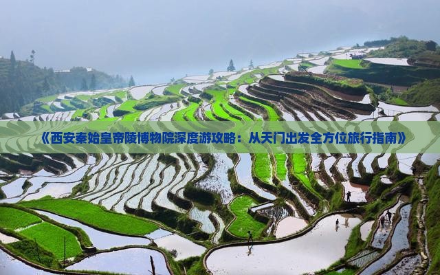 《西安秦始皇帝陵博物院深度游攻略：从天门出发全方位旅行指南》