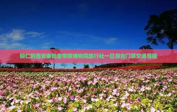 铜仁到西安秦始皇帝陵博物院旅行社一日游含门票交通导服