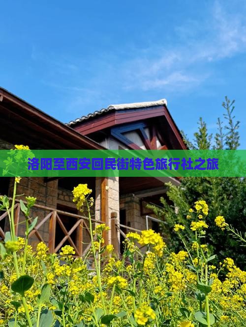 洛阳至西安回民街特色旅行社之旅