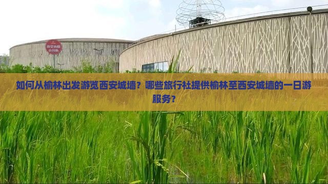 如何从榆林出发游览西安城墙？哪些旅行社提供榆林至西安城墙的一日游服务？