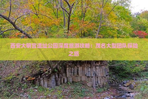 西安大明宫遗址公园深度旅游攻略：茂名大型团队探险之旅