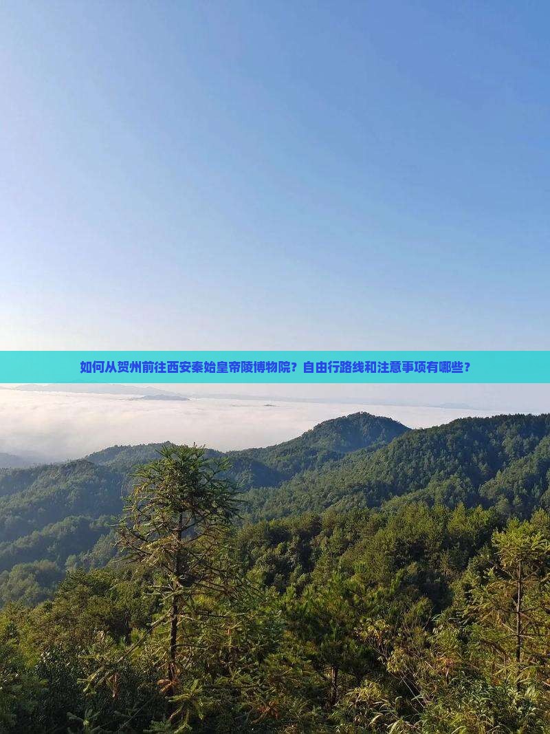 如何从贺州前往西安秦始皇帝陵博物院？自由行路线和注意事项有哪些？