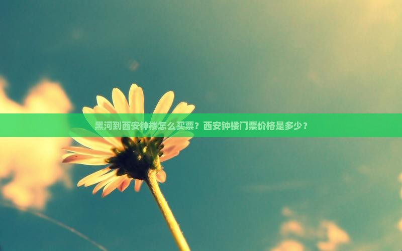 黑河到西安钟楼怎么买票？西安钟楼门票价格是多少？