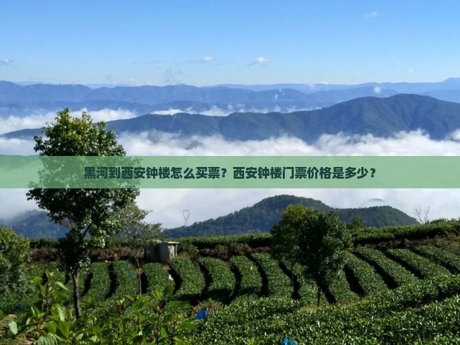 黑河到西安钟楼怎么买票？西安钟楼门票价格是多少？