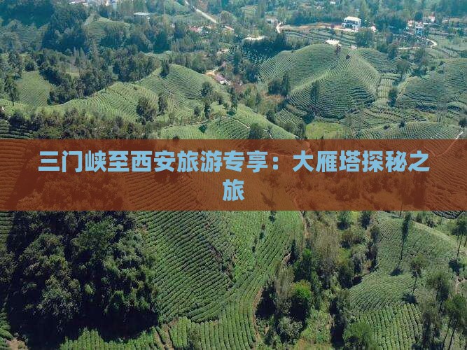 三门峡至西安旅游专享：大雁塔探秘之旅