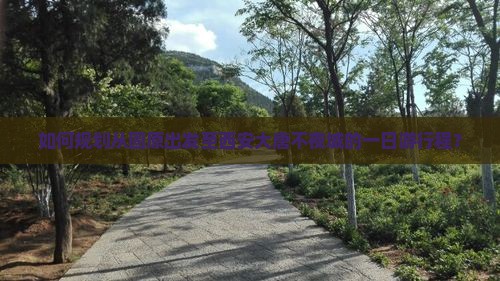 如何规划从固原出发至西安大唐不夜城的一日游行程？