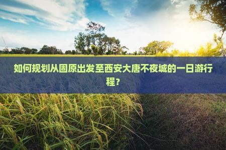 如何规划从固原出发至西安大唐不夜城的一日游行程？