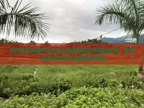 如何在五日游内从焦作出发深度探访西安回民街，并融入当地美食与文化的绝妙体验？