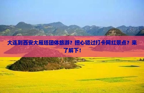 大连到西安大雁塔团体旅游？担心错过打卡网红景点？来了解下！