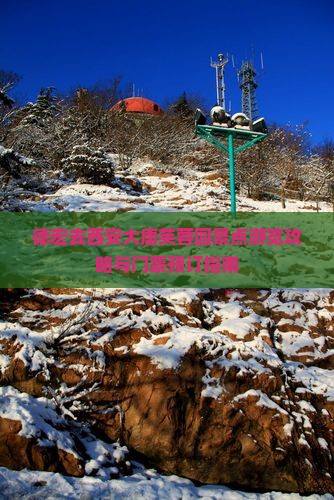 德宏去西安大唐芙蓉园景点游览攻略与门票预订指南